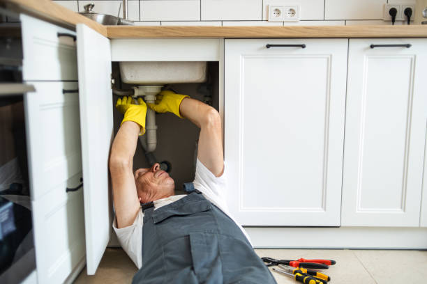 Best Clogged Drain Plumber  in Parker City, IN