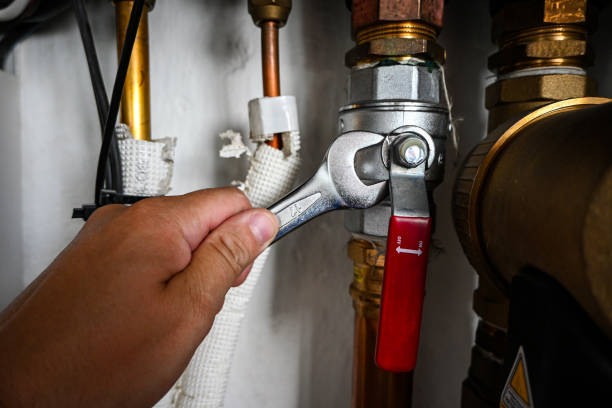 Best Shower Repair Services  in Parker City, IN